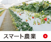 スマート農業